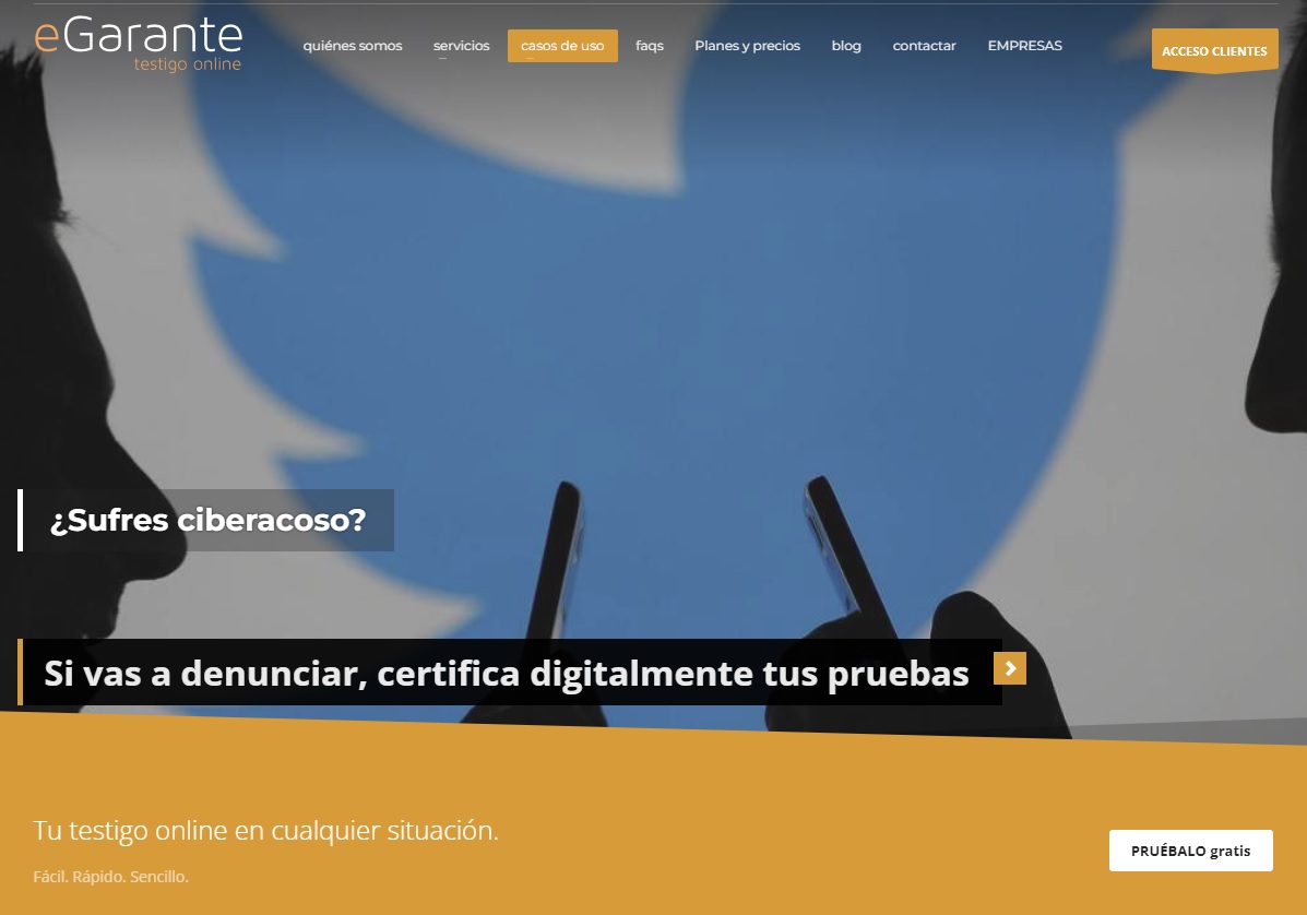 Captura de pantalla del sitio web eGarante